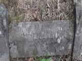 image of grave number 452086